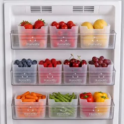 HomeWiz Fridge Storage Containers 850ml x10| Storage Container Set