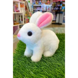 Hopping Walking Bunny Toy