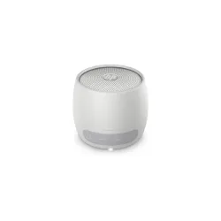 HP 360 Mono BT Speaker 