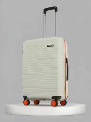 HRX by Hrithik Roshan Zanzibar 65cm Silver Suitcase