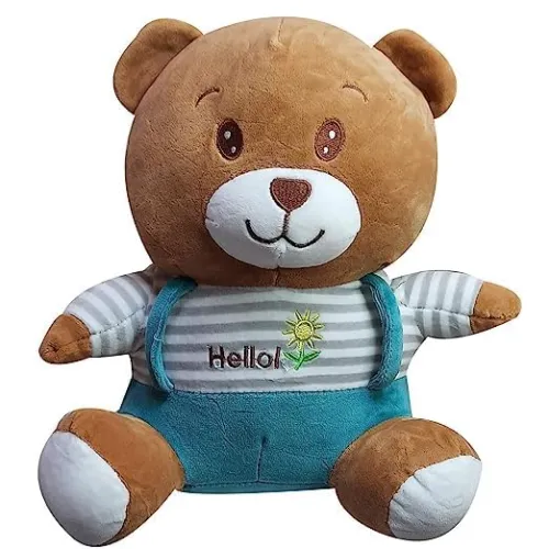 Image of HUG 'n' FEEL SOFT TOYS – Hello Teddy 25cm 