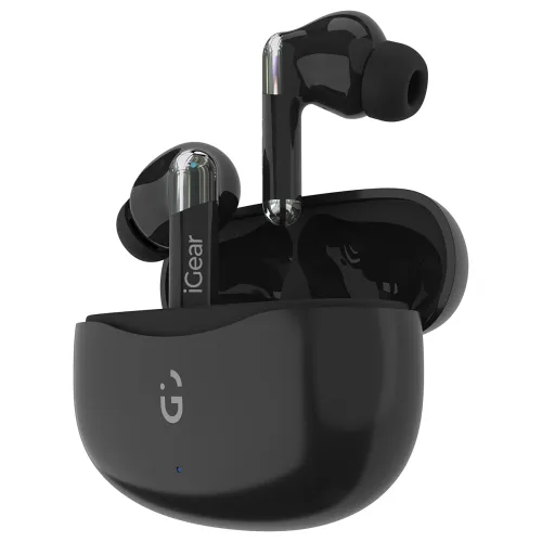 Image of iGear ANC Pro Wireless Earbuds