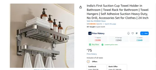 Image of India's First Suction Cup Towel Holder