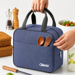 Insulated Travel Lunch/Tiffin/Storage Bag for Office, College & School Picnic & Lunch Bags (Blue)