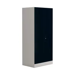 Interio by Godrej Slimline 2-Door Steel Almirah