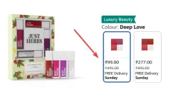 Just Herbs 4 IN 1 Lip Gloss for Women