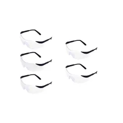 Karam Safety Goggles with Clear Lens Pack of 5