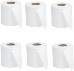 Keen 2 Ply Soft Toilet Tissue Paper Rolls - 100 Sheets (Pack of 6...more