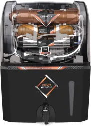 Kinsco Aqua Punch Water Purifier