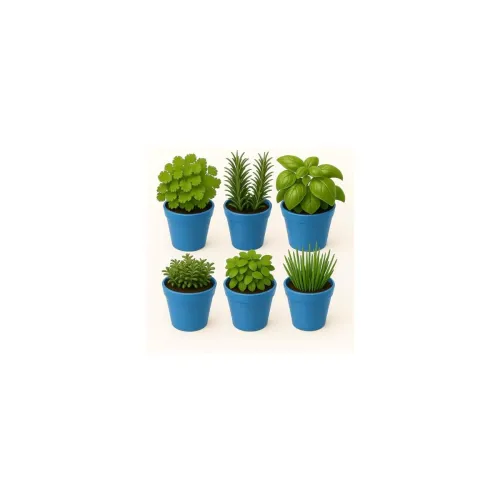 Image of Kraft Seeds by 10club 6Inch Flower Planters Po6