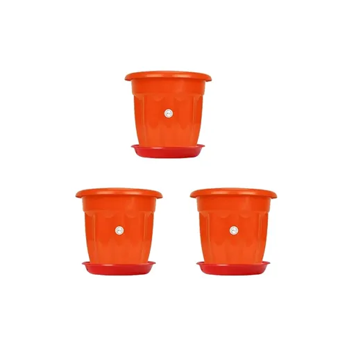 Image of Kraft Seeds 8