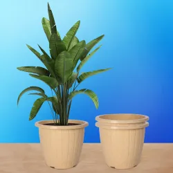 Kuber Industries Pack of 3 Flower Pot | Flower Pot for Living Room | Flower Planters for Home-Lawns & Gardening | Window Planters | Flower Pots for Balcony | Marble Duro | 8 Inch | Beige