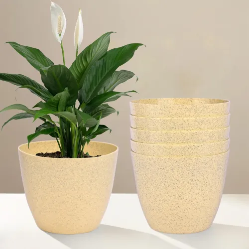 Image of Kuber Industries Pack of 6 Flower Pot | Flower Pot for Living Room-Office | 