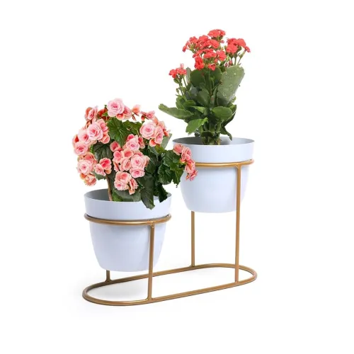 Image of Kuber Industries Planter | Desktop Flower Planter | Home D?cor Flowers Pot | Balcony Flower Pot | Flower Planter for Off