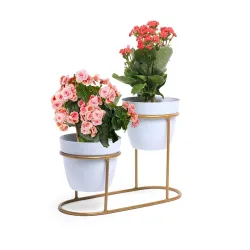 Kuber Industries Planter | Desktop Flower Planter | Home D?cor Flowers Pot | Balcony Flower Pot | Flower Planter for Off
