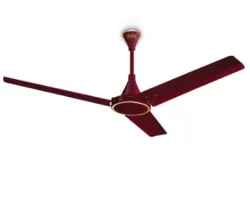KUHL Prima A BLDC Ceiling Fan 1200 mm, Pack of 1