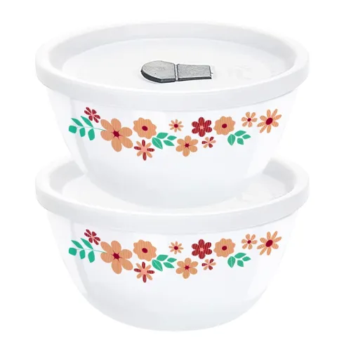 Image of Larah by BOROSIL Ayana Mixing & Serving Bowl Set of 2 with Lid