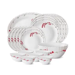 Larah by BOROSIL Verona Opalware Dinner Set 21-Pieces