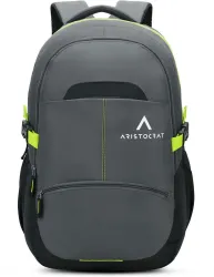 Large 32 L Laptop Backpack Charge With Multiple Utility Pockets & Rain Cover (Grey)