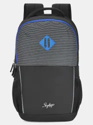 Large 35 L Laptop Backpack FOX 2023 LAPTOP BACKPACK (H) GREY (Grey)