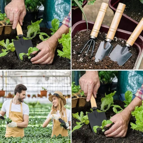 Image of Leafly Mini Garden Tools - 3Pcs Indoor Plant Tools Set Indoor Garden Tools Small