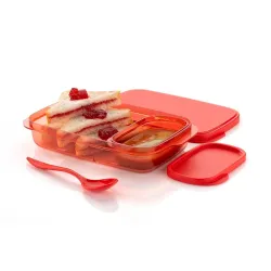 LEAWALL Unbreakable Divine Lunch Box Set Food Grade Plastic BPA-Free Storage Tiffin Dip Container & Spoon for Kids School and Adults Office Travel Use Reusable