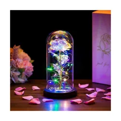 LED Rose Flower in Glass Dome with Butterfly, Romantic Night Light Decorative Lamp, Valentine Gift for Her Mom Wife, Ann