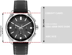 LEE COOPER  Analog Watch 