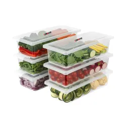 LEMBOSE Fridge Storage Refrigerator Container (Pack-of-6)
