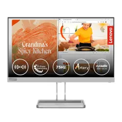 Lenovo L22i-40 22 FHD IPS Monitor