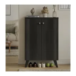 LERIMO 2-Door Engineered Wood Shoe Rack