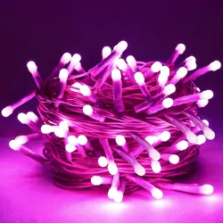 Lexton 40 LED Power Pixel Serial String Light Po1