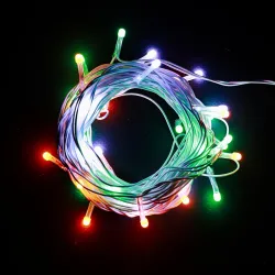 Lexton 40ft Tricolor LED String Light