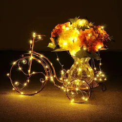 Lexton 3M 30 LED Battery Operated Copper String Lights with Remote