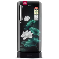 LG 185 L, 5 Star, Smart Inverter