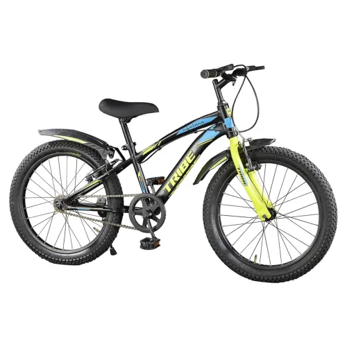 Image of Lifelong 20T Cycle for Kids 