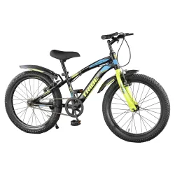 Lifelong 20T Cycle for Kids