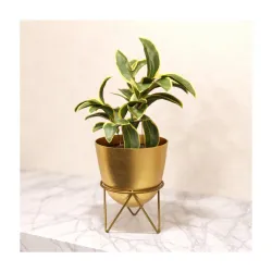 Lifelong Metal Plant Stand Indoor Planter Pot with Stand, Decorative Plant Holder for Living Room Bedroom Office, Minimalist Home Decor, Small Flower Pot Stand for Tabletop Indoor Plants