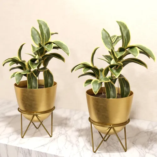 Image of Lifelong Set of 2 Anti-Rust Plant Stands for Balcony & Indoor Use