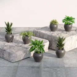 Lifelong Set of 6 Home Decor for Living Room & Balcony