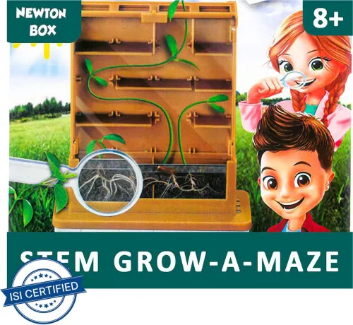 Image of Little Olive Newton Box DIY Grow A Maze Kit