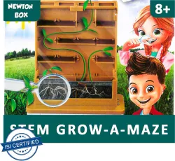 Little Olive Newton Box DIY Grow A Maze Kit