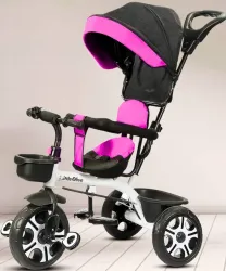 Little Olive Premium Kids Tricycle with Canopy