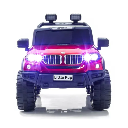 Image of LITTLE PUP Kids Speed-888 Battery car for Kids 