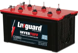 Livguard 48 Months Warranty Tubular Inverter Battery (160 Ah, IT 1636STJ)