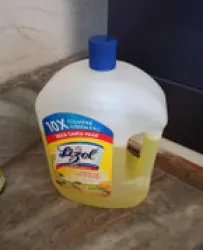 Lizol Disinfectant Surface & Floor Cleaner Liquid Citrus  (975 ml)