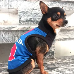 Lulala Dog Shirts Italia 9 Printed Clothes 