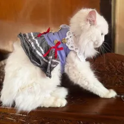 Lulala Pet Cloth Cute Pet Sundress Ribber Work Pet Princess Dress Puppy Summer Apparel Clothes Pet Skirt Shirt with Ruffles lace on Collar for Small Pets(18 Inch,Light Blue)