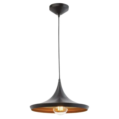 Image of M2 Look Vintage Loft Pendant Light