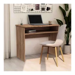 MATTERHORN Engineered Wood Office Table with Shelf for Storage